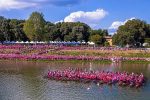 2018 International Breast Cancer Paddling Commission Festival