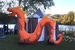 2019 Pittsburgh Dragon Boat Festival