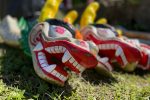 2022 Pittsburgh Dragon Boat Festival
